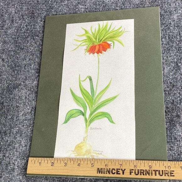 Original Watercolor Painting Fritillaria Botanical Flower Signed B Westbrook 90s - Picture 6 of 11